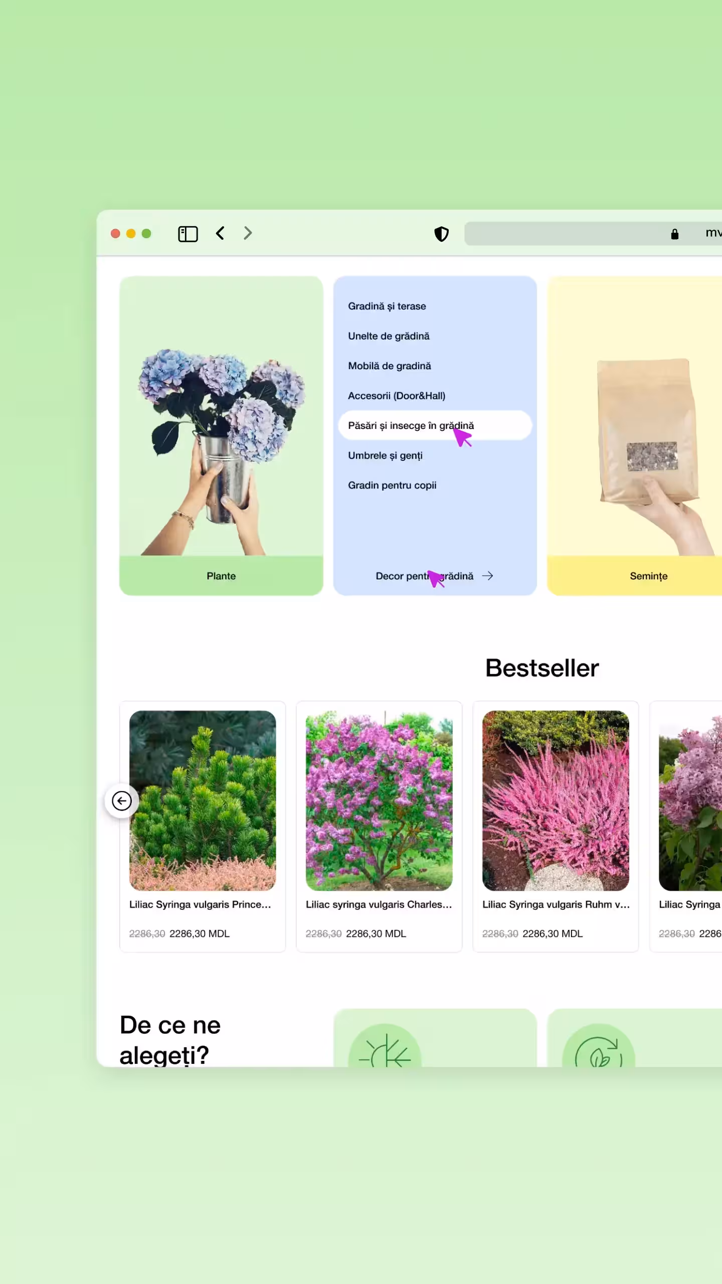 gradina-mea project screenshot
