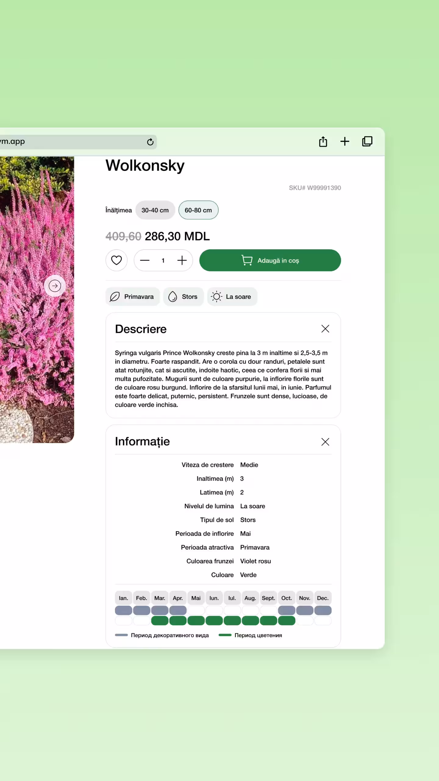 gradina-mea project screenshot